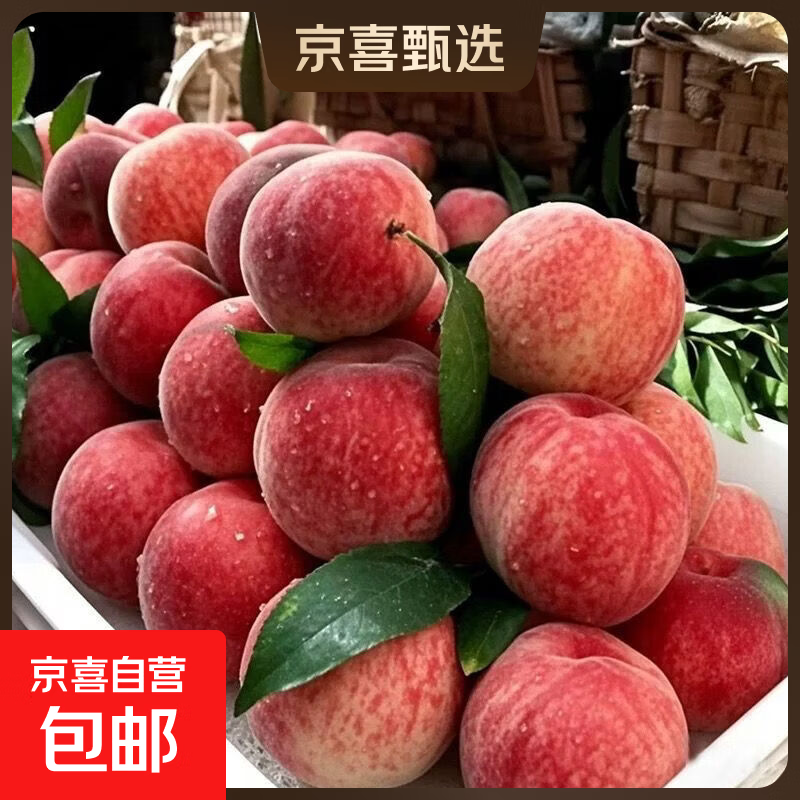 【头茬】湖北露天水蜜桃新鲜时令应急水果大毛桃子整箱 带箱2斤中果 净重1.7斤（单果70g+）