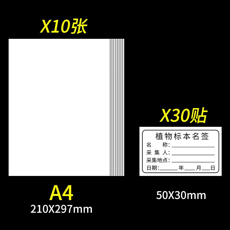 普查专用40*30cm国家标准款a4a3卡纸树叶标本制作不干胶标本名标签塑