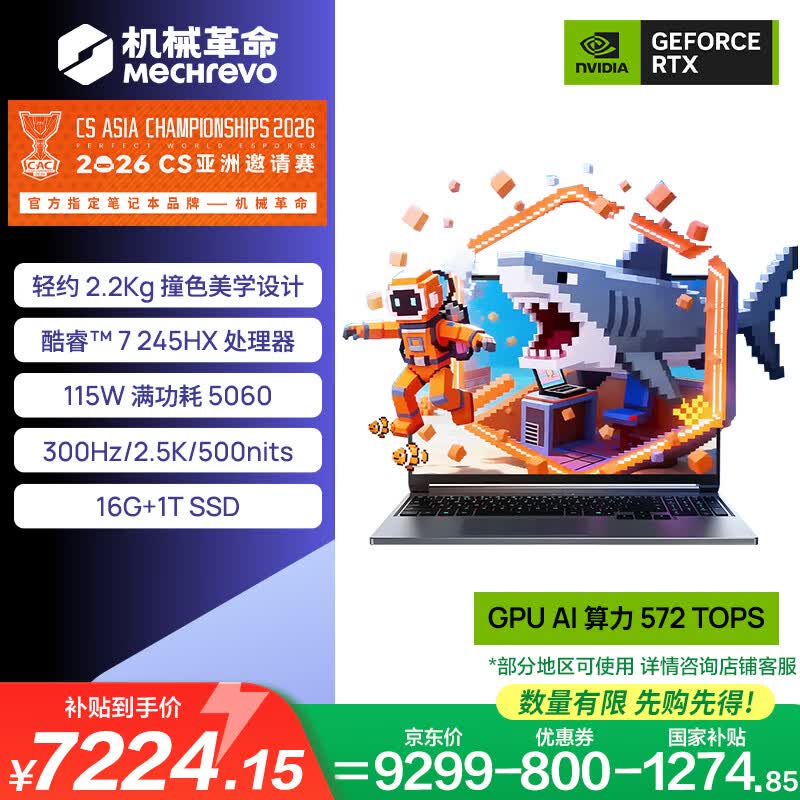 机械革命极光X潮玩版 (C7-245HX   RTX5060  灰)游戏本笔记本电脑