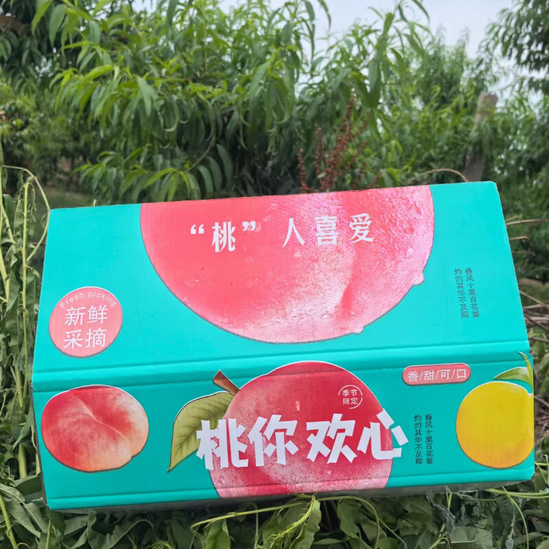 秦品堂陕西秦岭高山水蜜桃 突围品种 脆软两吃核小肉厚新鲜采摘产地直发 秦岭水蜜桃4.5-5斤（9-12枚）