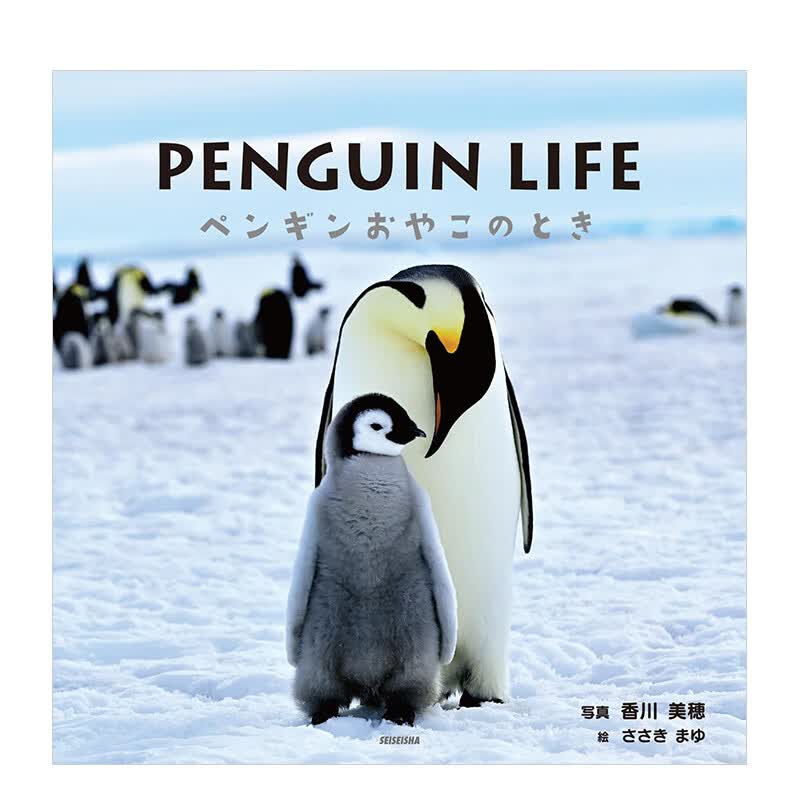 【预售】企鹅生活摄影作品集 penguin life ペンギンおやこのとき