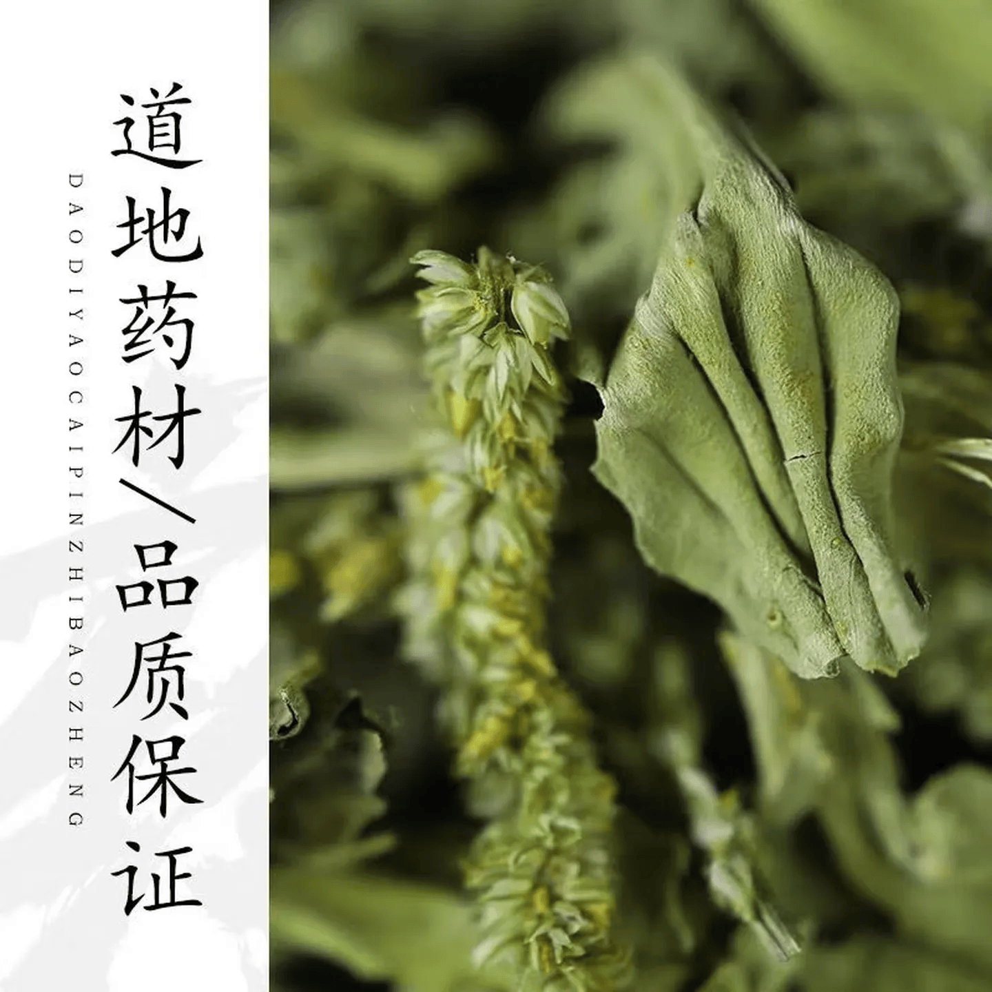 协穆野生车前草新鲜正品带穗自然生长晾晒中药材绛酸利尿喝的养生茶  【2026新货】车前草 100g*4罐