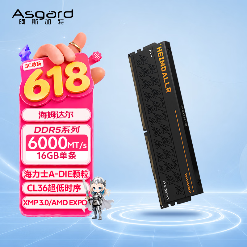 阿斯加特（Asgard）16GB DDR5 6000 台式机内存条 海姆达尔 马甲条 海力士A-die CL36 黑厚甲 AI电脑配件升级