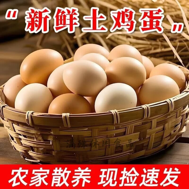 枣宗 宗农林散养新鲜土鸡蛋农家虫草喂食笨鸡蛋营养山鸡蛋批发 【 土鸡蛋10枚 单枚40g以上