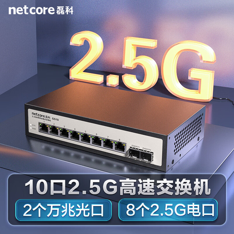 磊科(netcore)GS10 10口2.5G交换机 8个2.5G电口+2个万兆光口SFP+ 千兆网络分线器分流器 支持猫棒NAS光猫 钢壳