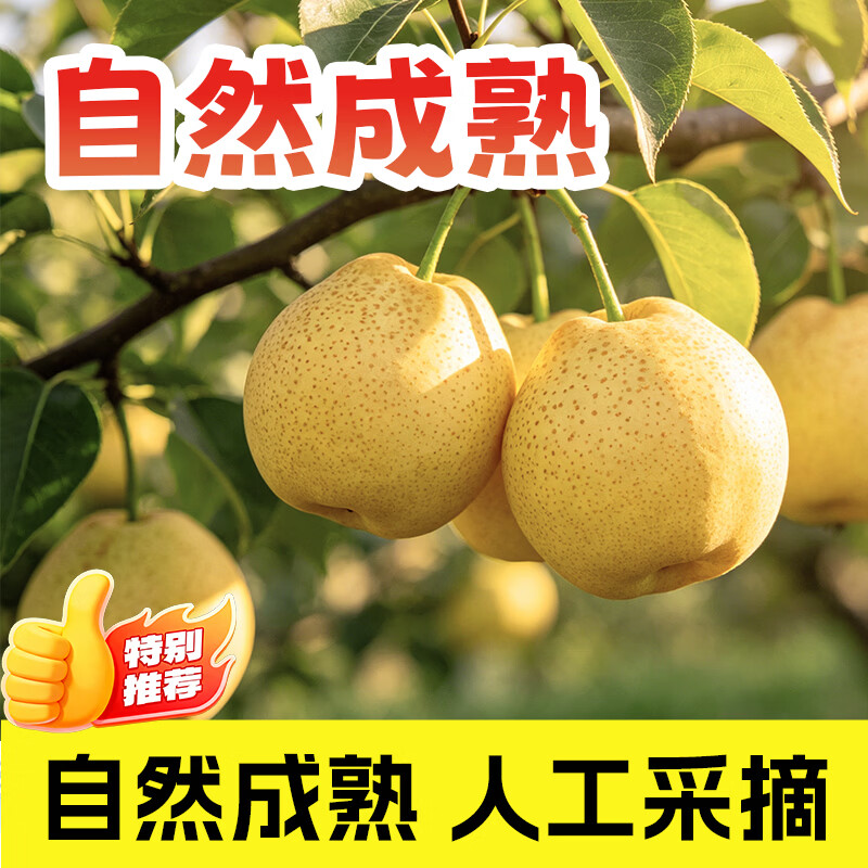黔婆婆皇冠梨河北皇冠梨产地直发脆甜多汁梨子整箱新鲜水果单果200g+ 净重4.5~5斤