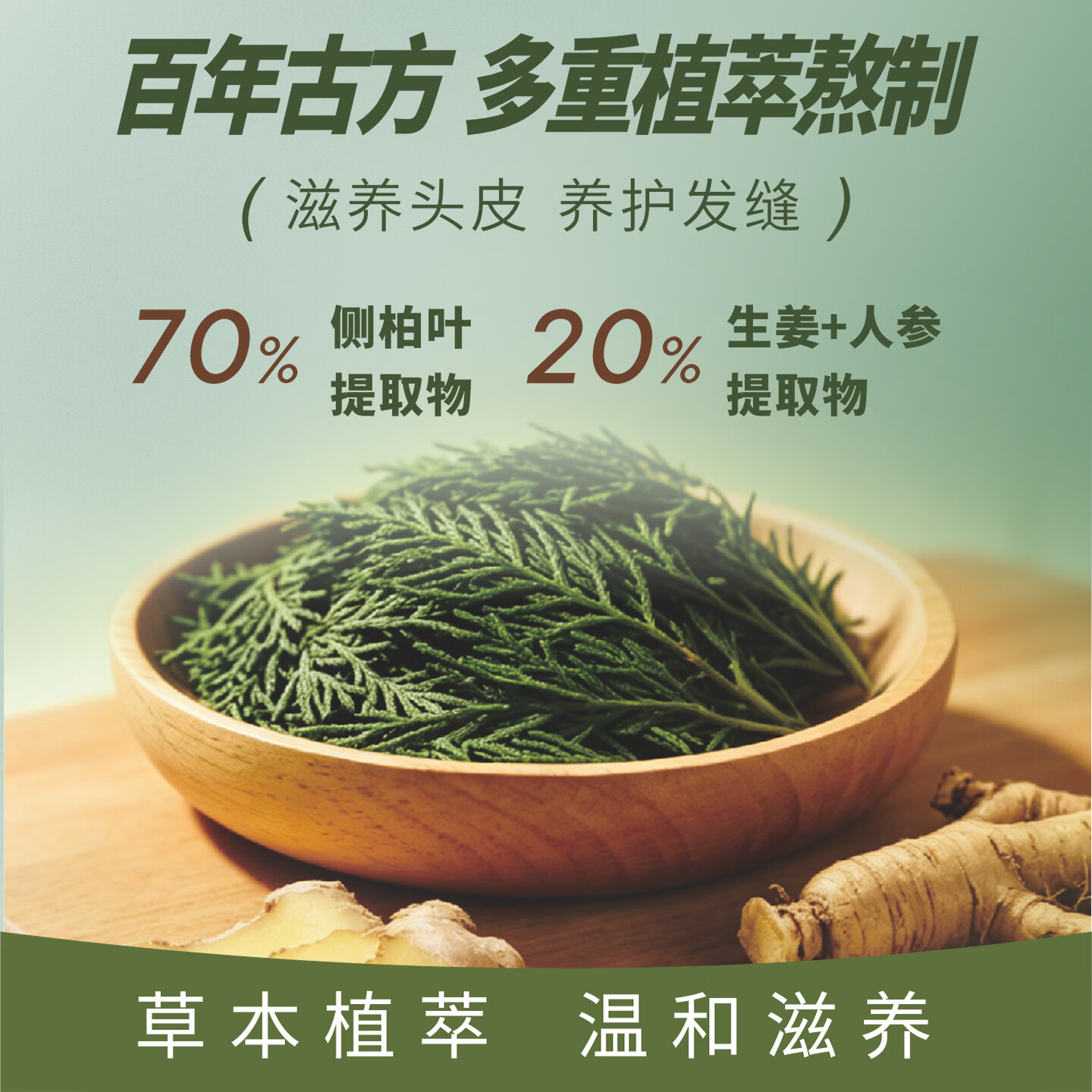 凯丽娜侧柏叶补水保湿精华液滋养发根按摩润养头皮毛囊护理养护液500ml 500ml一瓶