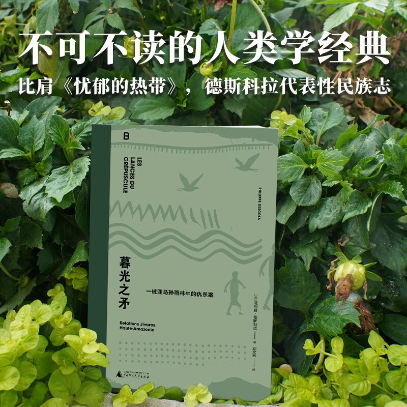 暮光之矛一桩亚马孙雨林中的仇杀案广西师范大学出版社法菲利普·德斯科拉 著 刘文玲 译 精装 书籍 图书