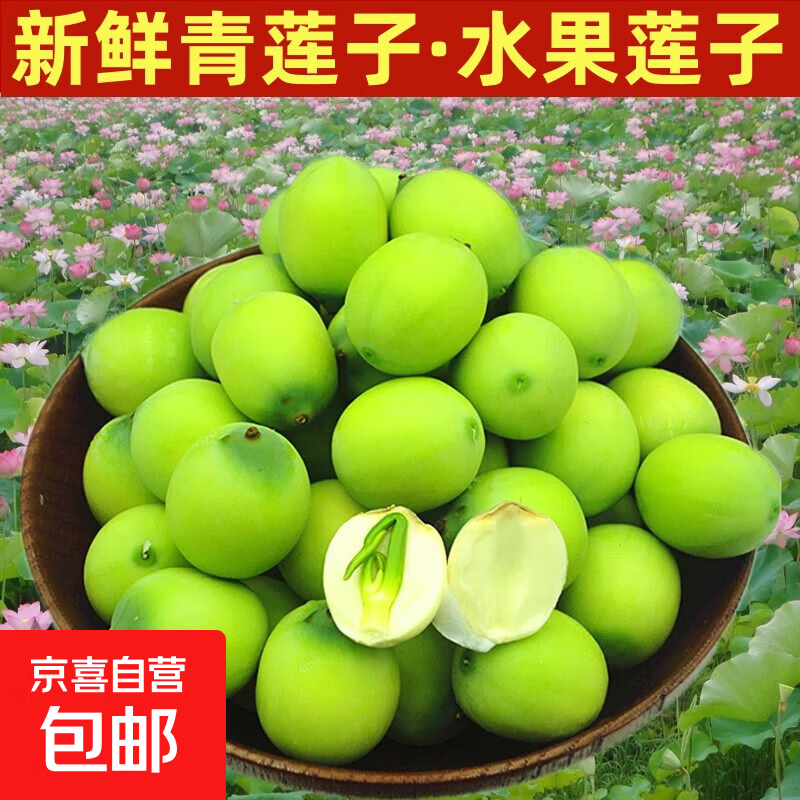新鲜水果莲蓬当季现摘甜嫩莲子米太空莲子应季水果 新鲜莲米2斤净重1.6斤