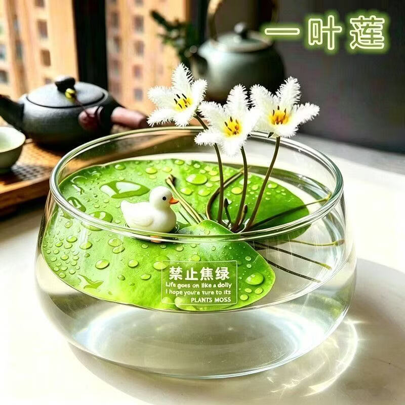 【花仙子】一叶莲水培无土好养办公室桌面鱼缸造景治愈系绿植A 【带花苞】焦虑盆+一叶莲+小鸭了 【带花苞】