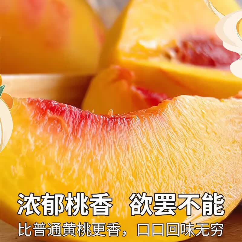 果站长正宗山东蒙阴黄金蜜桃黄桃黄油桃子当季鲜果产地直供孕妇送礼 净重4.5-5斤 A级精选果