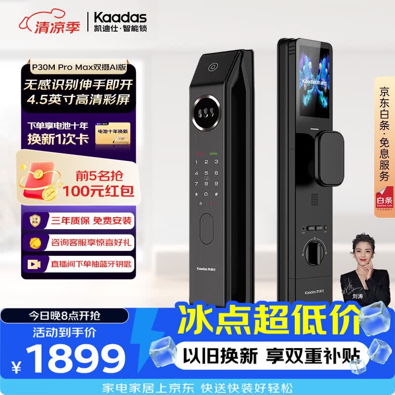 凯迪仕（KAADAS）P30M Pro Max双摄 AI版智能锁 高清大屏猫眼智能门锁指纹密码锁