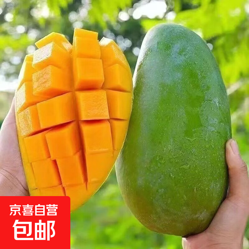 大青芒青黄皮甜心芒生熟两吃玉芒金煌 新鲜水果整箱广西云南发货 带箱2斤净重1.6斤单果100g-300g
