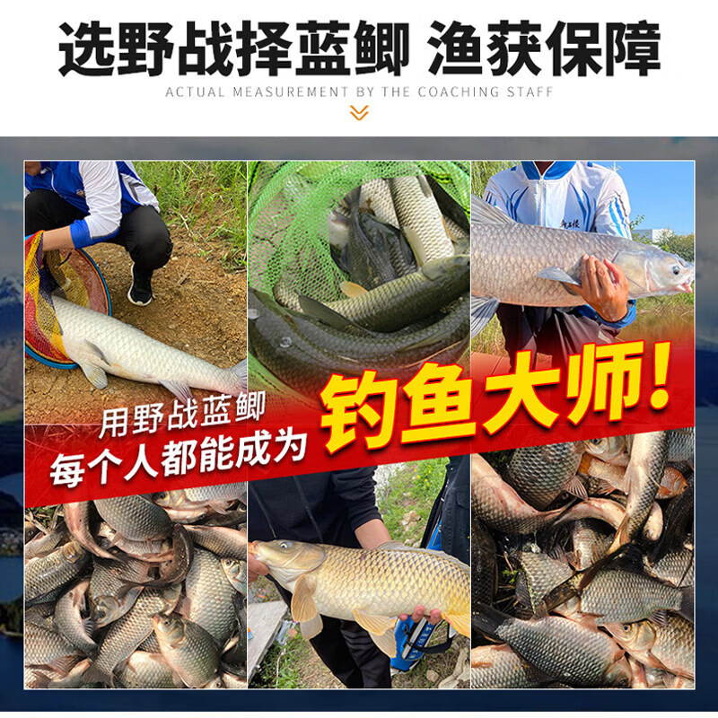 鱼饵野战蓝鲫升级版饵料野钓鲫鱼鲤鱼草鱼鳊鱼窝料综合鱼食 方块酸臭【透明袋】