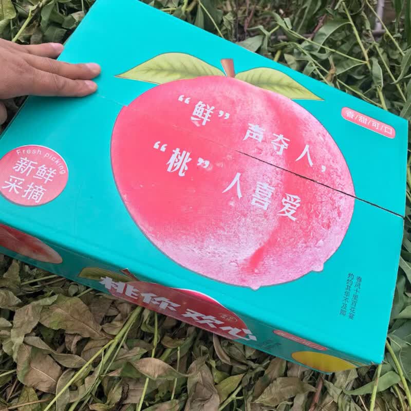 秦品堂陕西秦岭高山水蜜桃 突围品种 脆软两吃核小肉厚新鲜采摘产地直发 秦岭水蜜桃4.5-5斤（9-12枚）