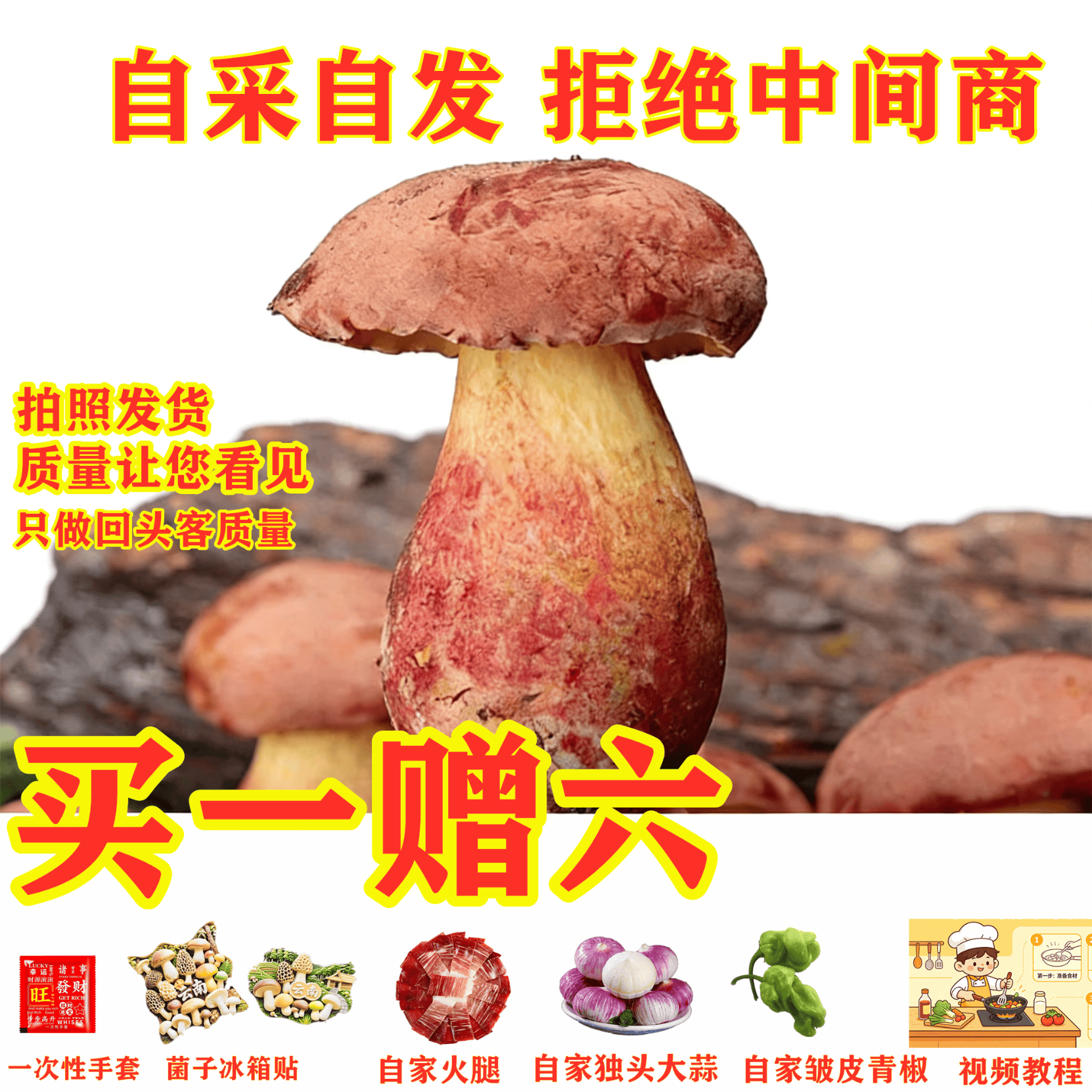 云南野生见手青新鲜牛肝菌当季野生菌红葱蘑菇野生顺丰现发见手青 520g一斤精品质量装 京东折扣/优惠券