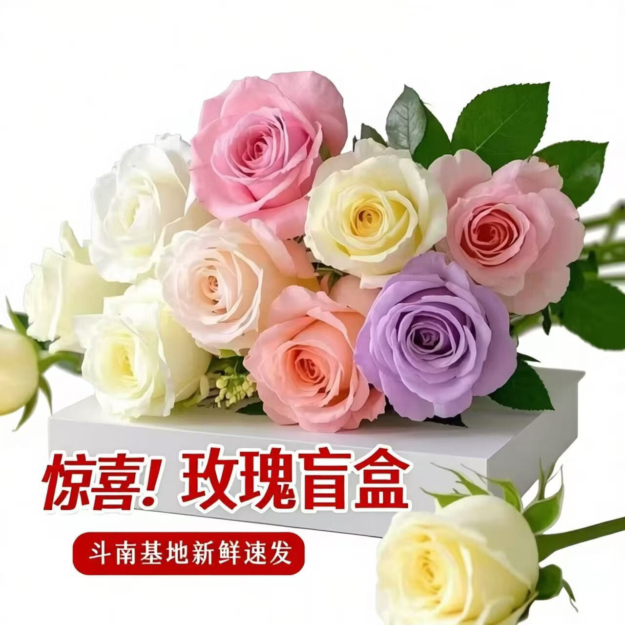 与花同行玫瑰盲盒鲜花随机玫瑰云南基地直发室内办公室批发送礼节日花束 【5枝】随机玫瑰 花苞状态发货，签收后需醒花