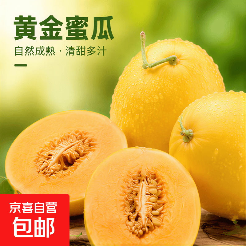 山东黄金蜜瓜 脆甜如蜜 基地直发当季新鲜瓜果黄河蜜瓜生鲜甜瓜 2-3粒 带箱7斤（净重6-7斤）