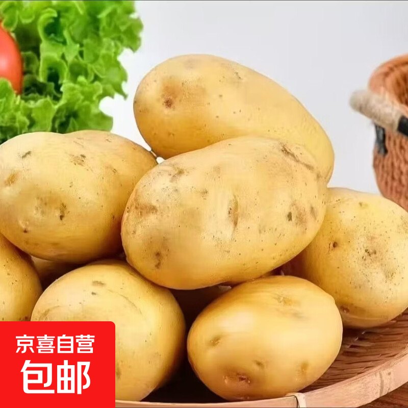 当年新鲜土豆沙地黄心土豆黄皮现挖马铃薯农家洋芋整箱蔬菜批发 新货土豆带箱1斤装【中大果】