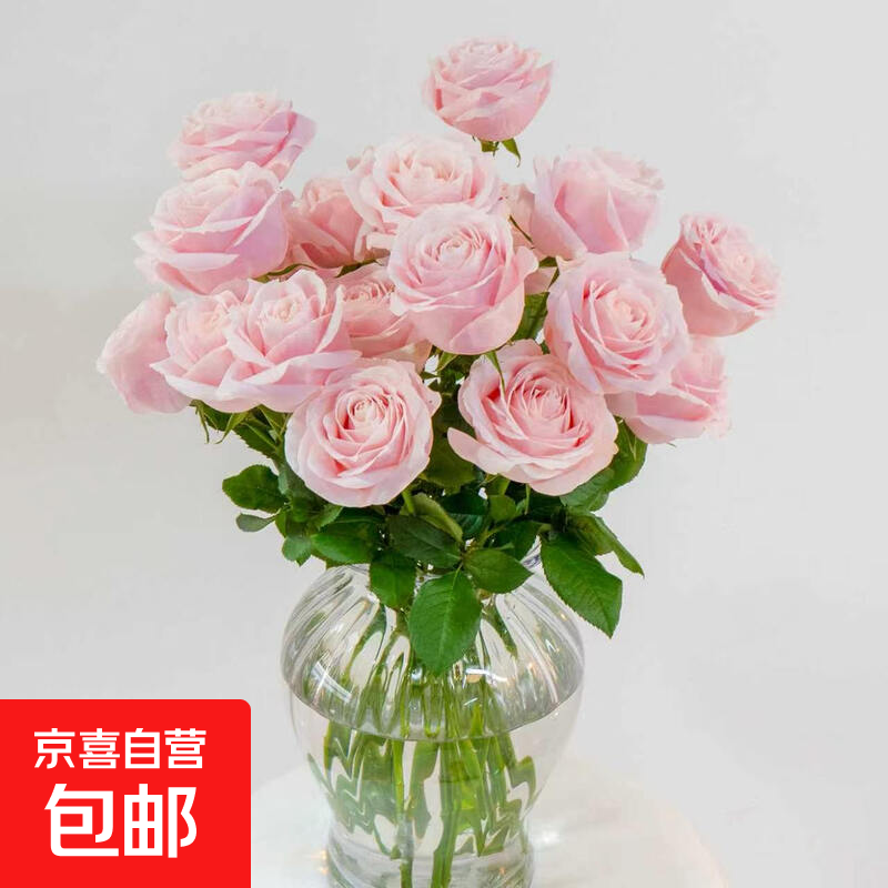 云南基地直发鲜花玫瑰花水养花玫瑰鲜花10支 随机色玫瑰10枝