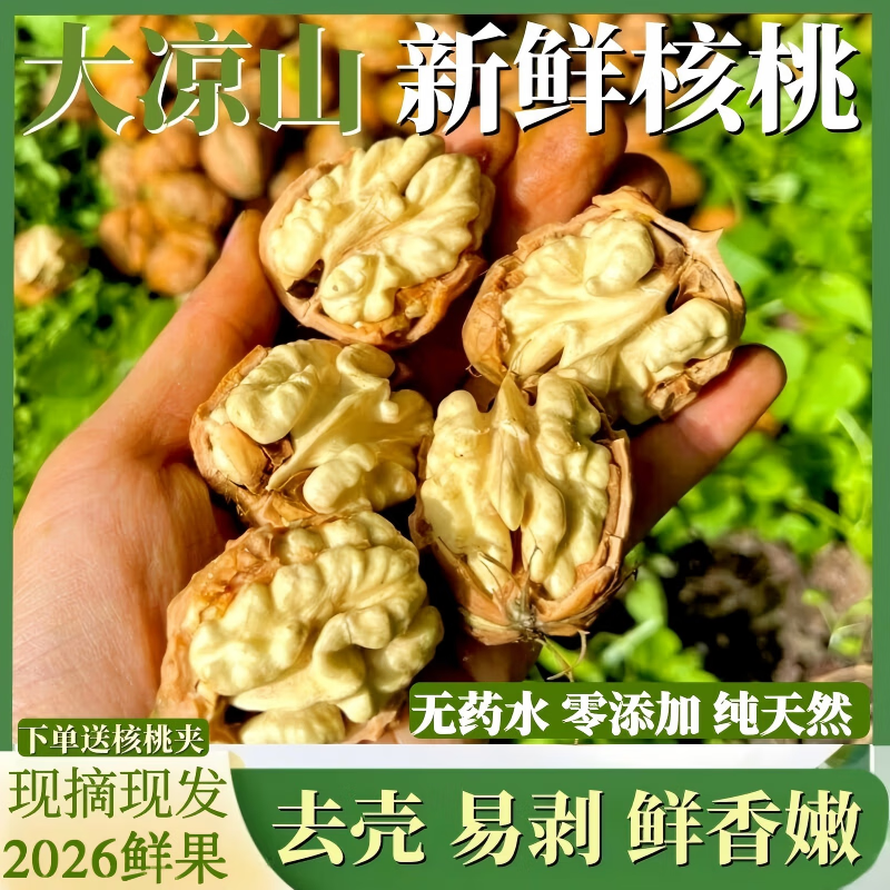 朵芮蜜2026大凉山去青皮新鲜湿核桃薄壳孕妇零食非纸皮核桃应季补脑鲜果 优选中大果净重3斤送夹子顺丰快递