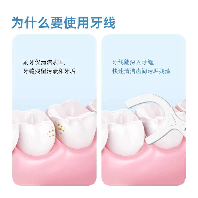 HAMECO牙线棒 家庭装家用牙签一次性牙线 盒装 牙线50支x6盒 【共300支】