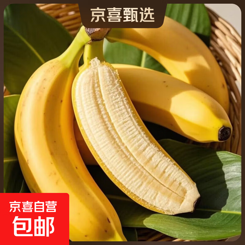 正宗广西小米蕉当季新鲜水果万澄装自然熟小香蕉现摘现发产地直发 活动【带箱5斤】小米蕉