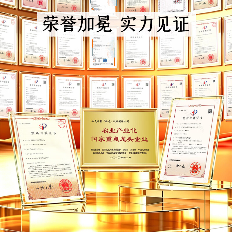 仙芝楼四个有机破壁灵芝孢子粉高三萜国标制定增强免疫力 端午节送礼 1盒 30袋 【送灵芝西洋参茶+大礼盒】