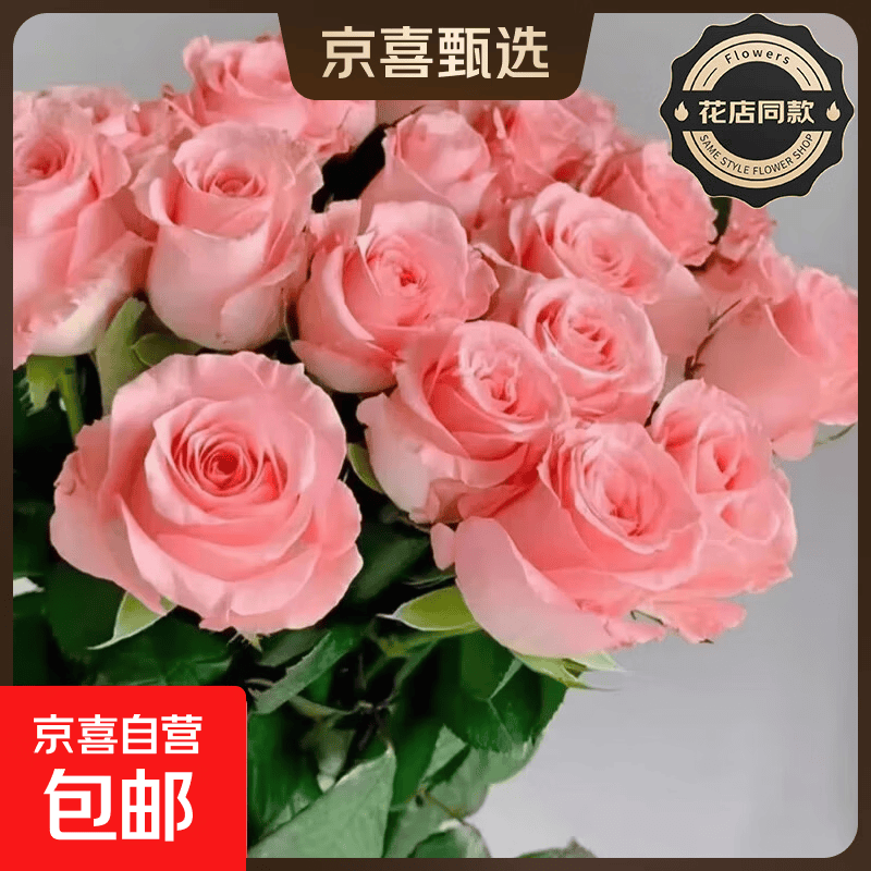 【玫瑰花】花店同款鲜花昆明基地直发生日礼物母亲节520礼物 粉玫瑰8+2枝（防损不售后）
