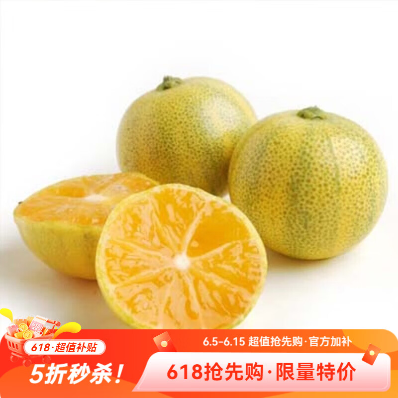 虹越（HONGYUE）柑橘系列盆栽苗 多品种可选家庭休闲种植果树苗 花叶小青柠“奶茶”1加仑