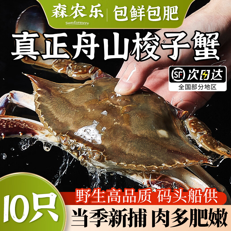 舟山梭子蟹鲜活特大野生大螃蟹新鲜冷冻海鲜水产海蟹飞蟹白蟹顺丰 净重3-4两/只【10只 精品野生】