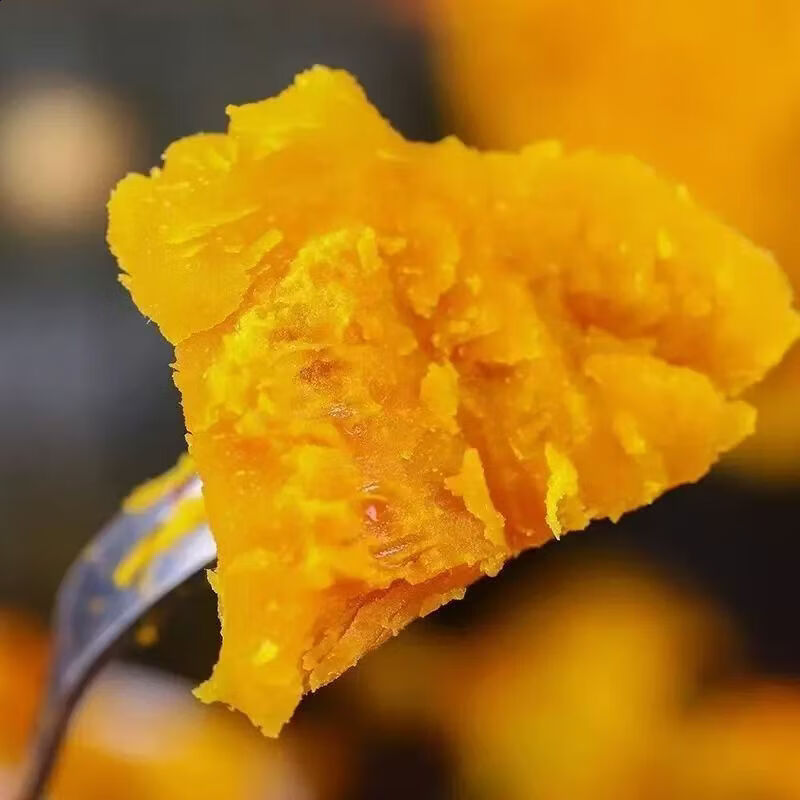 林大馋正宗贝贝南瓜板栗味新鲜日期宝宝辅食粉糯香甜小南瓜新鲜蔬菜代餐 【真贝贝 蒸不水】净 4.5斤 【 精品单果250g+ 饱满不瘪】