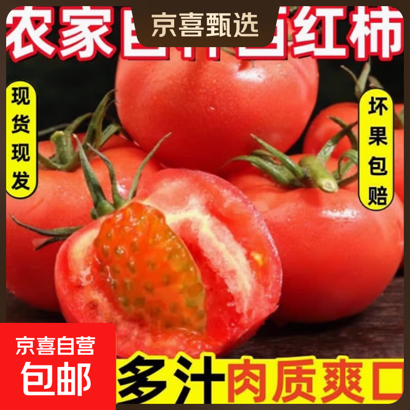 西红柿水果沙瓤番茄多汁新鲜蔬菜生鲜减肥减脂可生吃 西红柿 2斤 尝鲜装