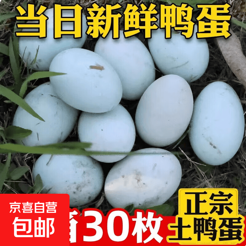京喜加【农场直发】精选新鲜土鸭蛋农家散养鸭蛋整箱早餐50-60g*30枚 10枚