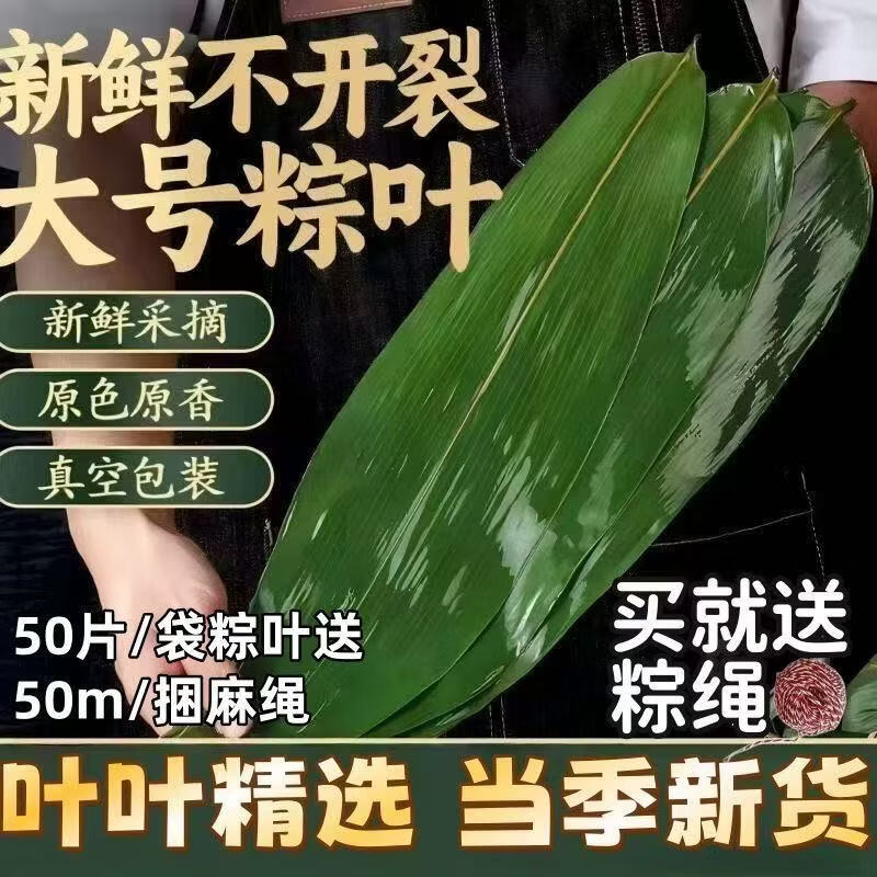 协穆深山新鲜粽叶子真空锁鲜叶片柔韧新手自制端午节包粽子食材送棉绳 特大鲜粽叶实惠装【共200片】 50片*4袋