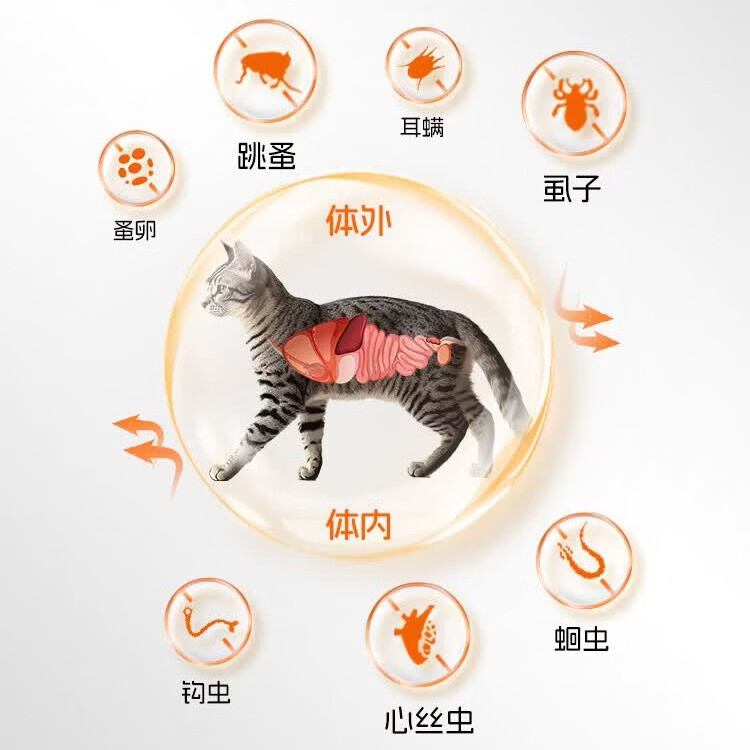 大宠爱宠物体内外一体驱虫药成幼猫咪除耳螨跳蚤蛔虫驱虫滴剂 2.6-7.5kg猫用大宠爱 45mg*3支 装