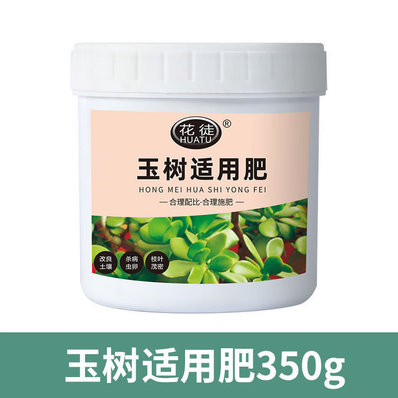 花徒玉树适用肥花肥料绿叶盆景盆栽复合肥有机肥四季缓释 玉树适用肥