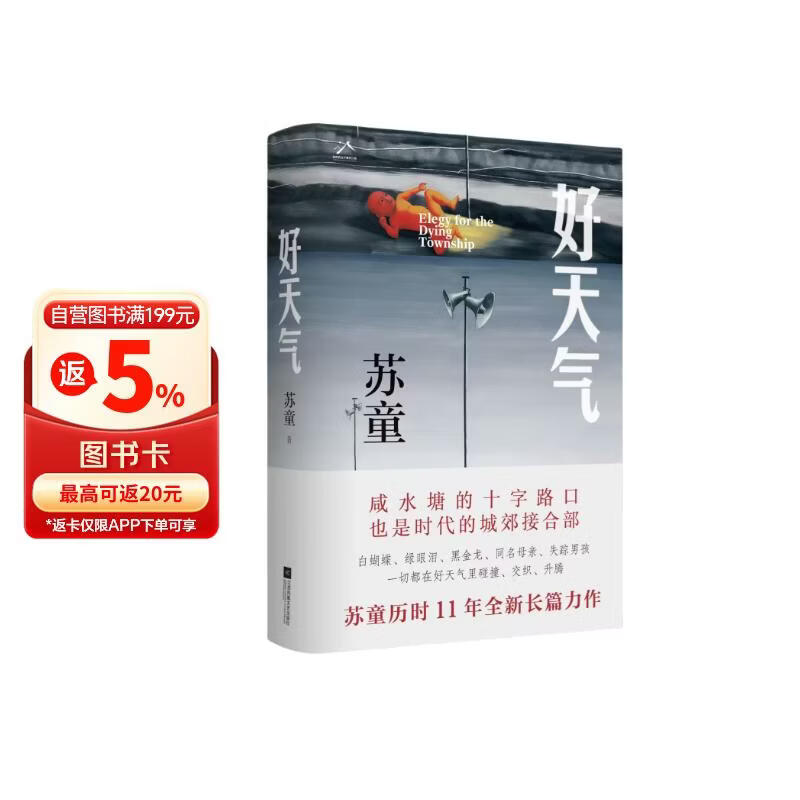 好天气（茅盾文学奖得主苏童《黄雀记》后历时11年长篇新作）