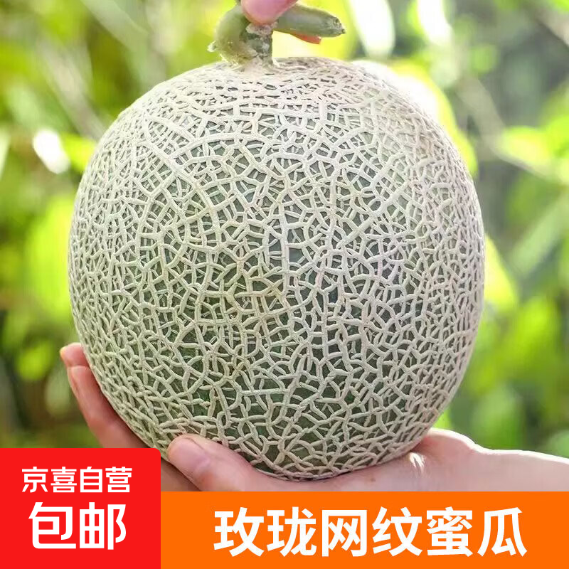 正宗山东潍坊玫珑网纹蜜瓜 冰淇淋甜瓜当季新鲜孕妇水果整箱 网纹蜜瓜净重4.5-5斤2-3个瓜