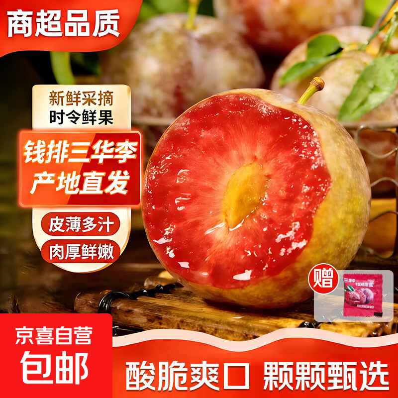 广东钱排三华李子早熟水果当季红心芙蓉李孕妇新鲜水果产地直发 【中果16-28g】净重0.9斤