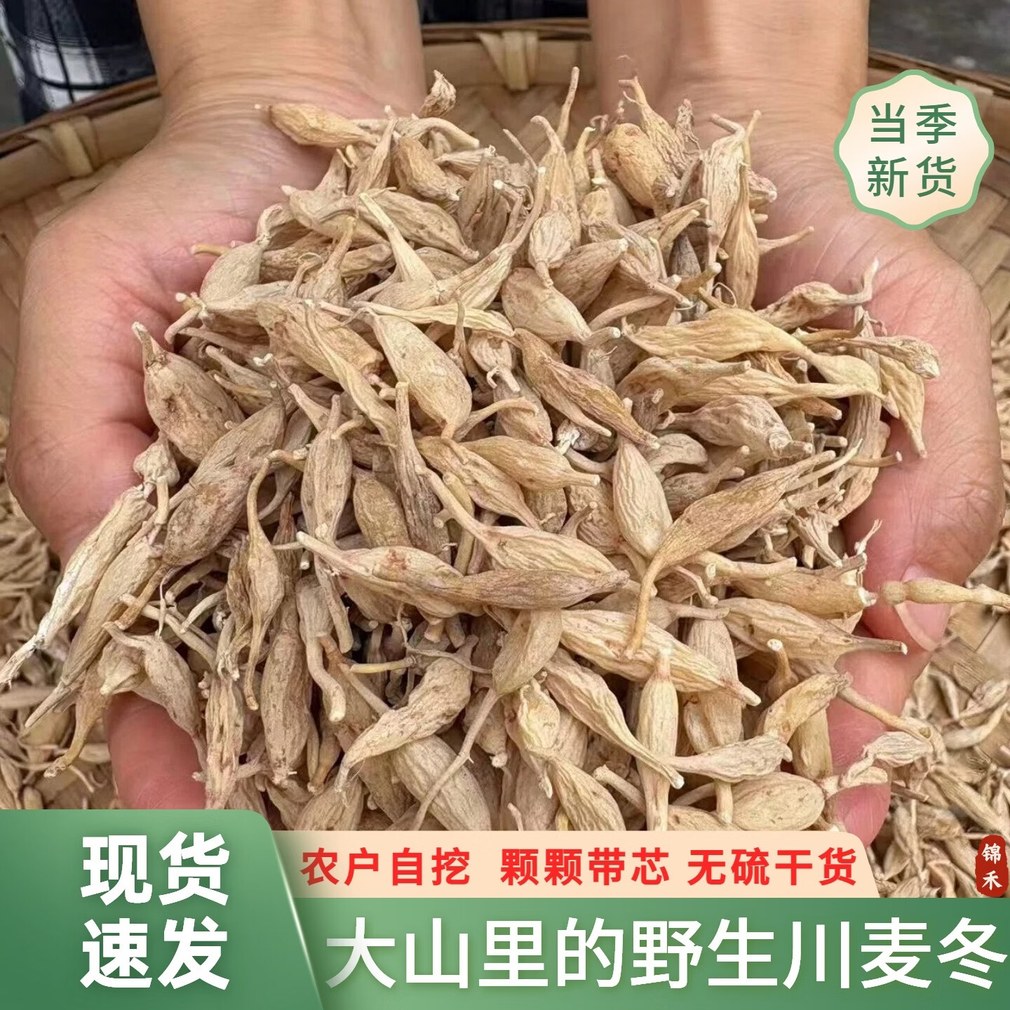 四川深山野生川麦冬农户自挖无硫熏染自然晒干深山川麦冬泡水煲汤 野生川麦冬 250g*2袋