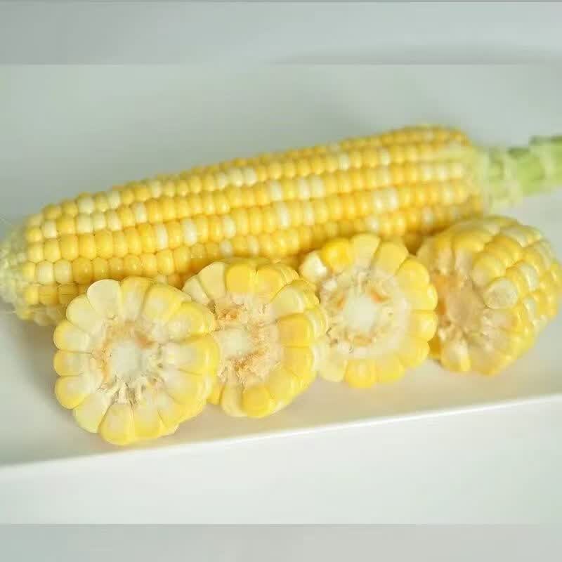 【京东物流送货到家】现摘生吃爆浆水果玉米孕妇苞谷棒即食嫩蔬菜 5斤