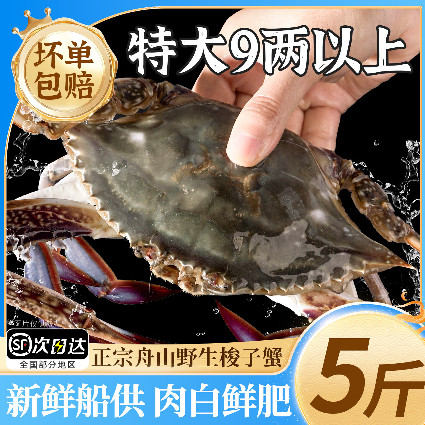 梭子蟹鲜活特大野生舟山大螃蟹海鲜新鲜冷冻海蟹水产飞蟹白蟹顺丰 5-7两/只 【净重4斤顺丰冷运 新鲜到家】