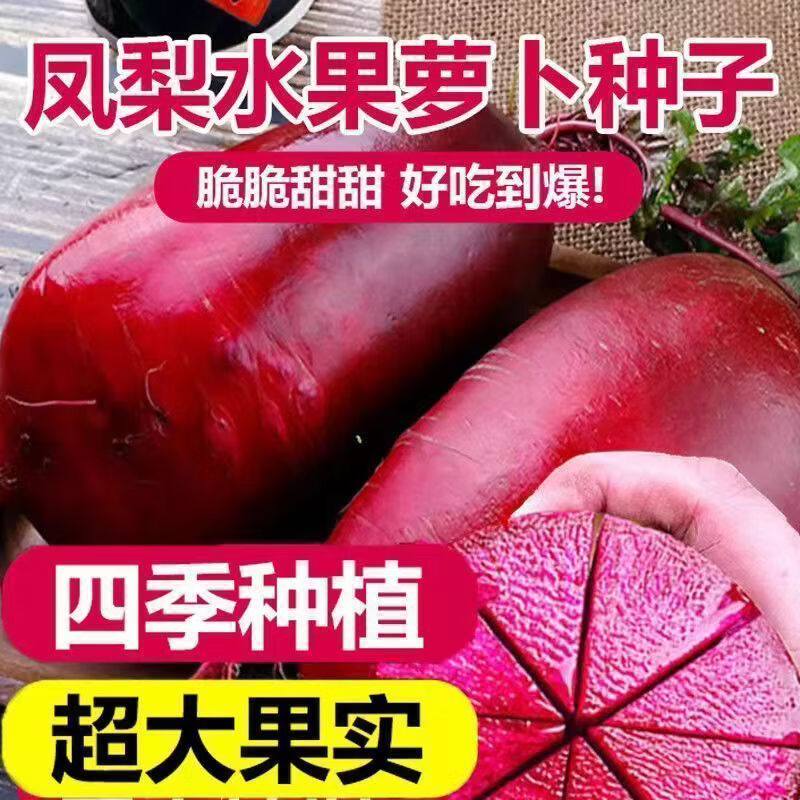 凤梨红心水果萝卜种子红皮甜脆心里美萝卜高产生吃四季播蔬菜籽 凤梨红心水果萝卜种子3包 当季新种丨粒粒精选