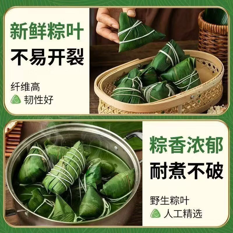 协穆深山新鲜粽叶子真空锁鲜叶片柔韧新手自制端午节包粽子食材送棉绳 特大鲜粽叶实惠装【共200片】 50片*4袋