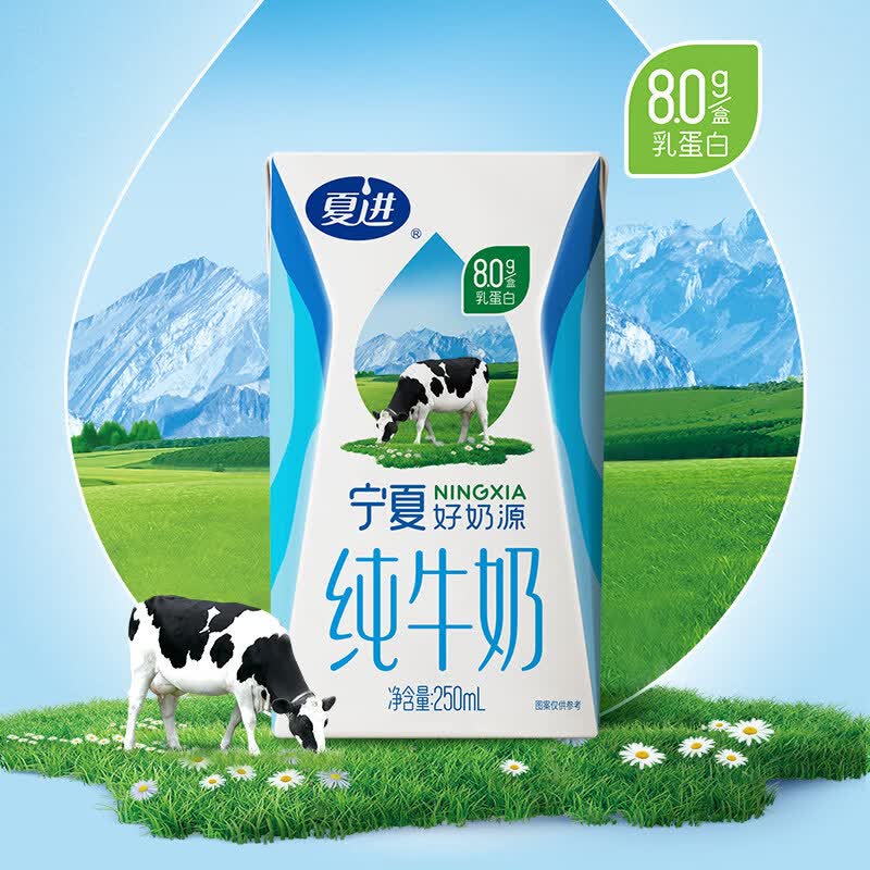【宁夏奶源】夏进纯牛奶250ml*20盒整箱纯奶全脂营养宁夏奶源