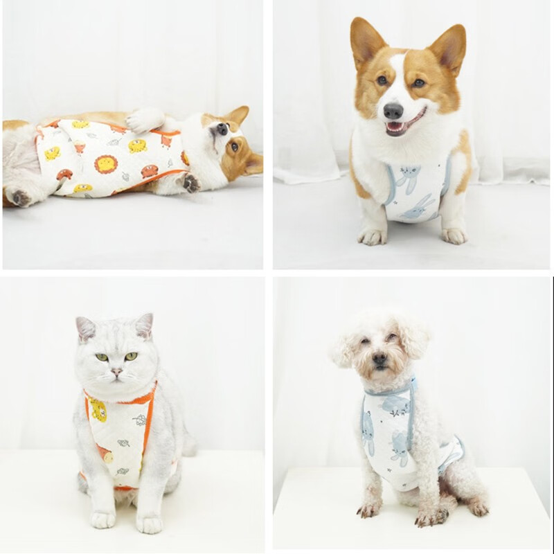 SLPC狗狗肚兜柯基护肚子防脏小狗幼犬防着凉肚兜中大型犬外出保暖肚兜 歪歪兔（母款） S（建议10-15斤）泰迪比熊法斗