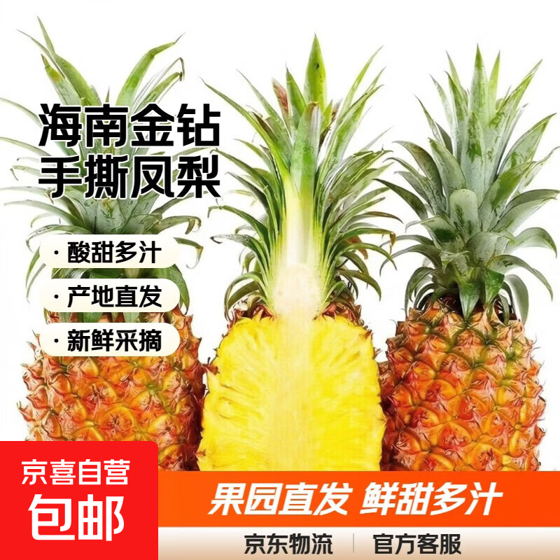 海南金钻凤梨 新鲜水果手撕凤梨孕妇水果 果园直发整箱包邮非菠萝 带箱4斤凤梨 单果500g起约2-3个