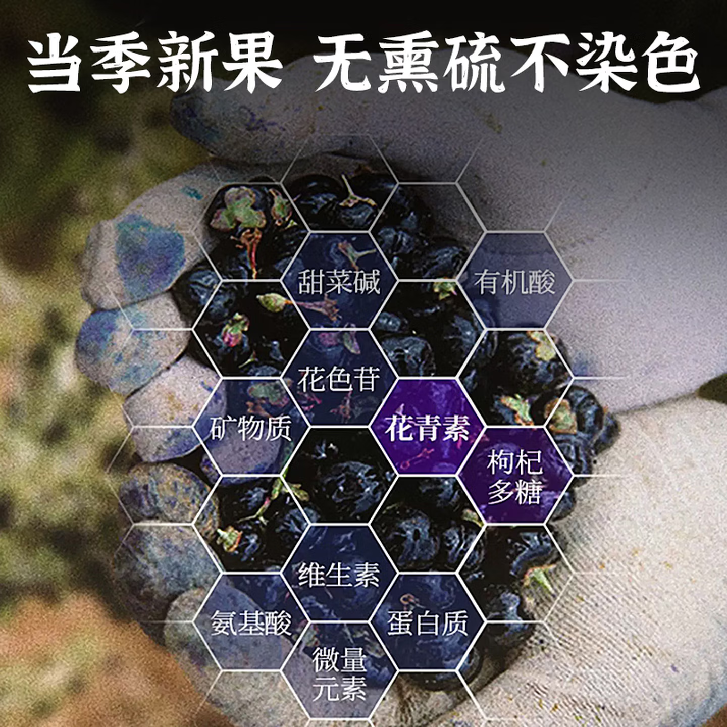 协穆正宗宁夏青海黑枸杞免洗无硫特级新货黑枸杞子泡水煲汤送礼养生茶 【特级黑枸杞】长期饮用共800g 800g*4罐