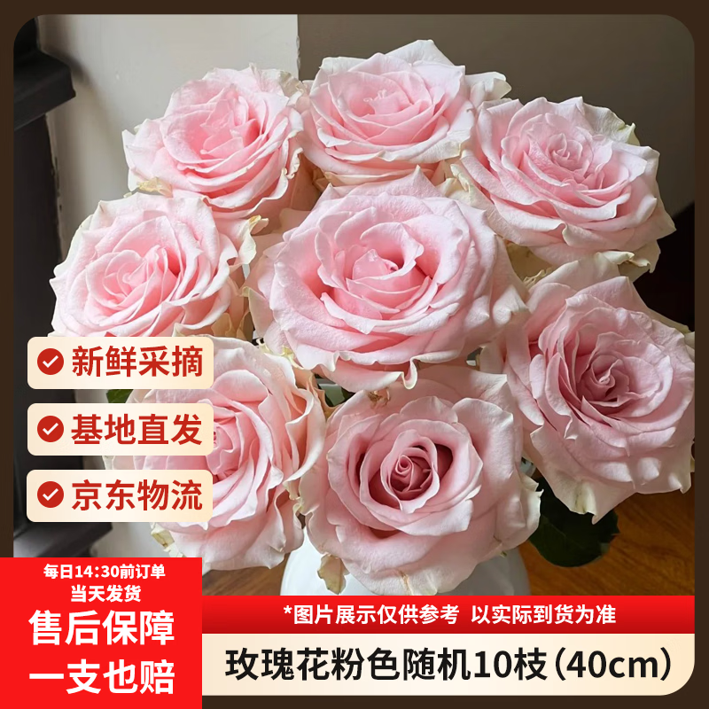 京东鲜花玫瑰花粉色随机10枝40cm起发如意基地鲜切花生活花束送礼源头直发